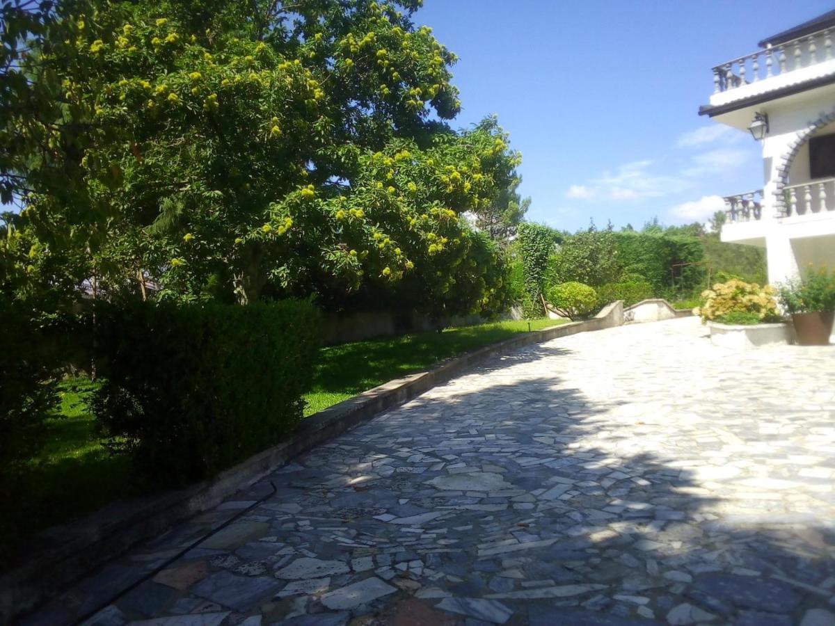 Pinheirinhos - Quinta De Sao Caetano Villa Carapito Exterior photo